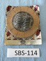 SBS114.jpg