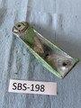 SBS198.jpg